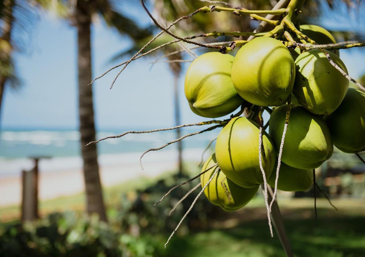 Flat Guarajuba Beira Da Praia Pe Na Areia Kültér fotó